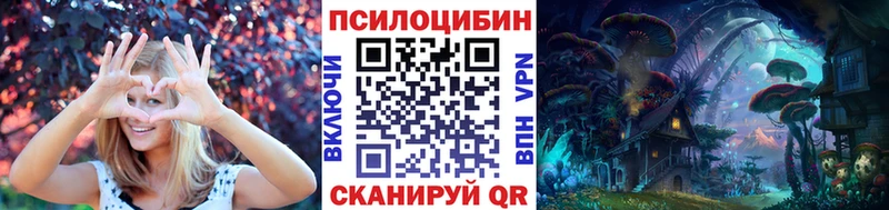 Псилоцибиновые грибы мицелий  купить закладку  Тайшет 